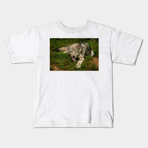 Timber Wolf Kids T-Shirt by jaydee1400